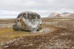 170731a_Collinsodden_027_D