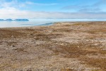 170731a_Collinsodden_046_D