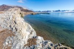 170731a_Collinsodden_170_D
