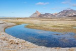 170731a_Collinsodden_203_D