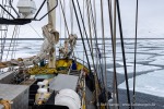 2500501b_Billefjord_06_D