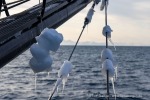 250430b_Adventfjord_02_D