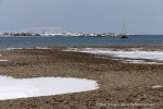 250502a_Farmhamna_04_D