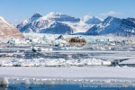 250503b_Kongsfjord_19_D