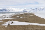 250506a_Sarstangen_50_D