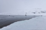 250501a_Skansbukta_02_D