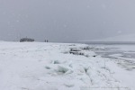 250501a_Skansbukta_28_D