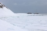 250501a_Skansbukta_36_D