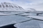 250501b_Billefjord_05_D