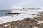 250502a_Farmhamna_08_D