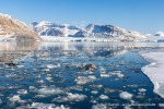 250503b_Kongsfjord_40_D
