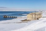 250507a_Colesbukta_16_D