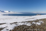 250507a_Colesbukta_38_D