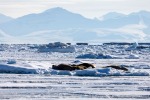250507c_Borebukta_05_D