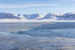 250508b_Dicksonfjord_04_D