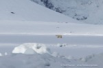 250524_Borebukta_25_D