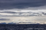 250526b_Isfjord_05_D