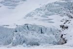 250529a_Hamiltonbukta_59_D