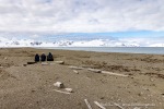 250530a_Sarstangen_62_D