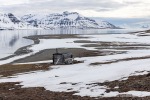 250530b_Gjertsenodden_54_D