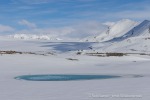 250531a_Trygghamna_62_D