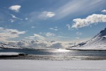 250531a_Trygghamna_66_D