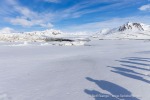 250531a_Trygghamna_33_D