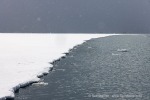 250601a_Borebukta_44_D