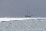 250601a_Borebukta_45_D