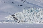 250601a_Borebukta_72_D