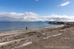 250601b_Bohemanneset_01_D