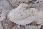 250601b_Bohemanneset_07_D