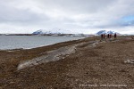 250601b_Bohemanneset_20_D