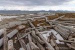 250601b_Bohemanneset_30_D