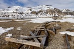 250602a_Skansbukta_02_D