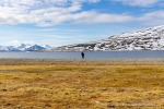 250602a_Skansbukta_07_D