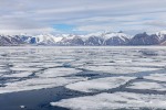 250602b_Billefjord_22_D
