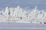 250601a_Borebukta_68_D