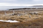 250602c_Gipshuksletta_27_D
