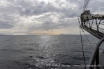 250604b_Isfjord_04_D