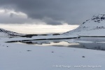250605a_Trygghamna_91_D