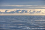 250606c_Kapp-Mitra_04_D