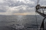 250604b_Isfjord_04_D