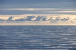 250606c_Kapp-Mitra_04_D