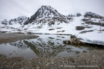 250607a_Bjornhamna_16_D