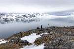 250607a_Bjornhamna_52_D