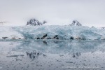 250607b_Smeerenburgbreen_20_D