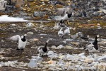 250607d_Virgohamna_31_D