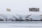 250608a_Alicehamna_014_D