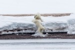 250608a_Alicehamna_070_D